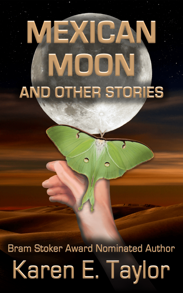 Cover art for the short story collection Mexican Moon and Other Stories by Karen E. Taylor